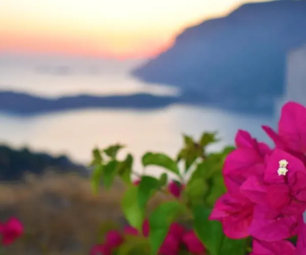 Marzi Kalymnos Villa Kamari (Kalymnos)